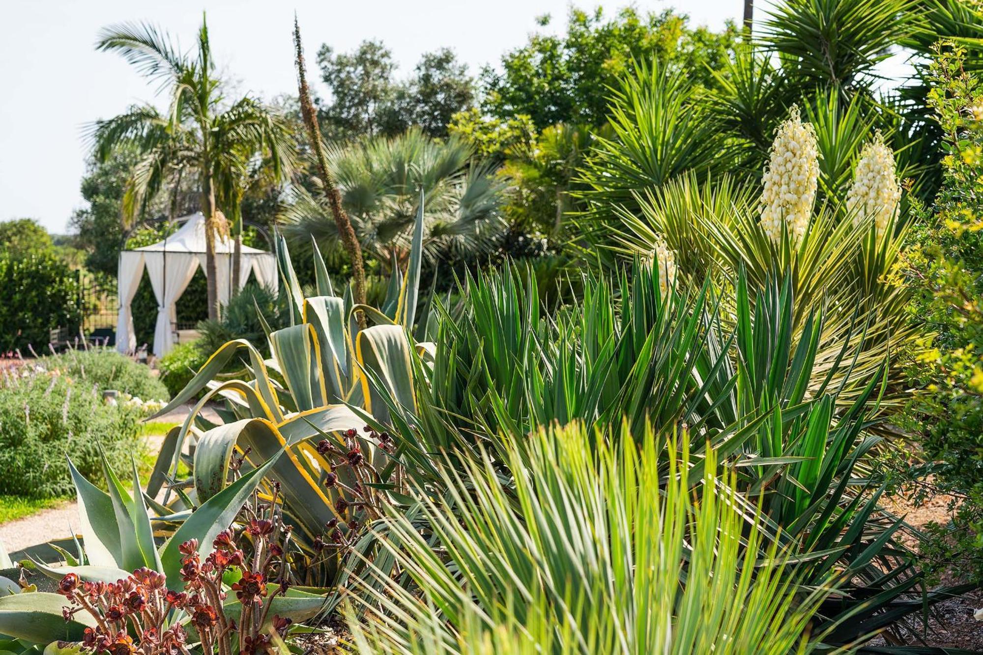 Donna Coraly Country Boutique Hotel Arenella  Ngoại thất bức ảnh